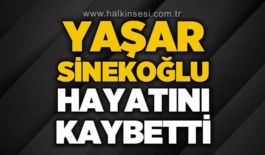 Yaşar Sinekoğlu hayatını kaybetti