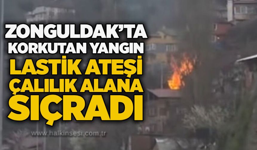 Zonguldak’ta korkutan yangın: Lastik ateşi çalılık alana sıçradı