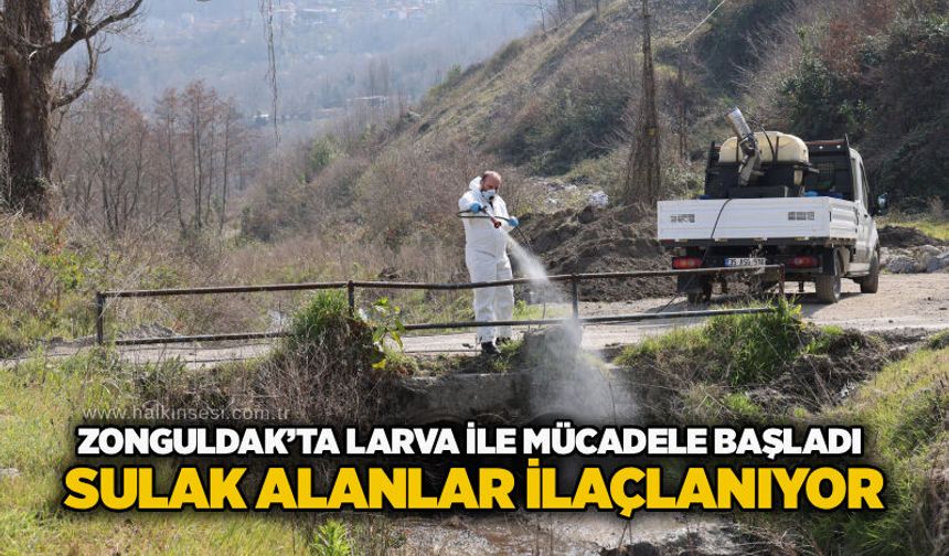 Zonguldak’ta Larva ile mücadele başladı: Sulak alanlar ilaçlanıyor