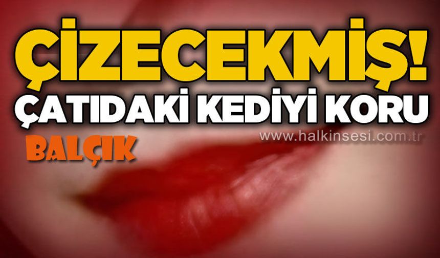 Çizecekmiş! / Çatıdaki kediyi koru