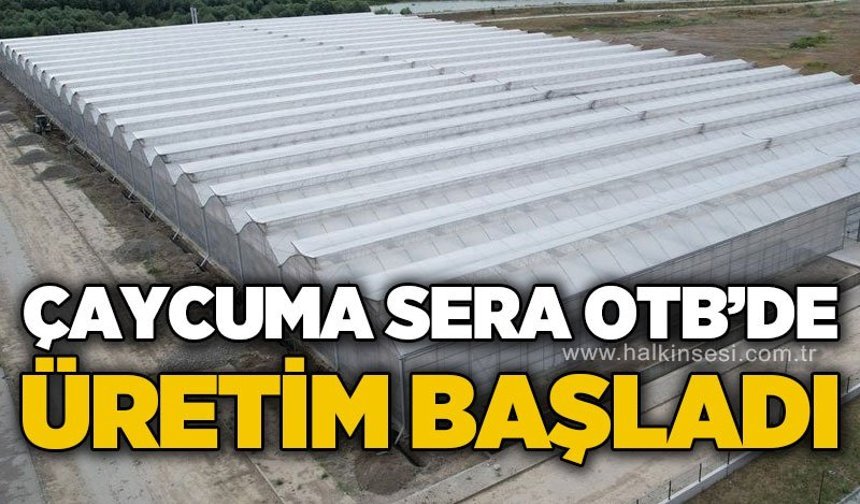 Çaycuma Sera OTB'de üretim başladı