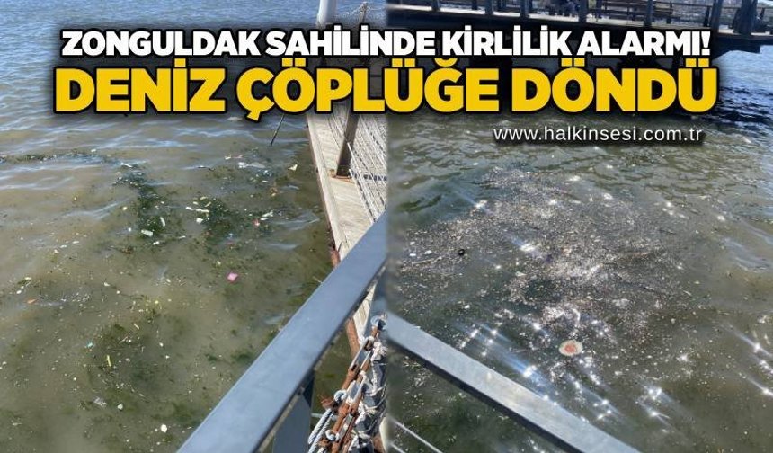 Zonguldak sahilinde kirlilik alarmı! Deniz çöplüğe döndü