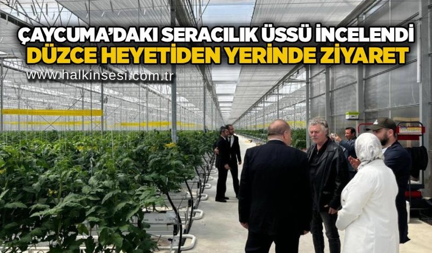 Çaycuma’daki seracılık üssü incelendi: Düzce heyetinden yerinde ziyaret