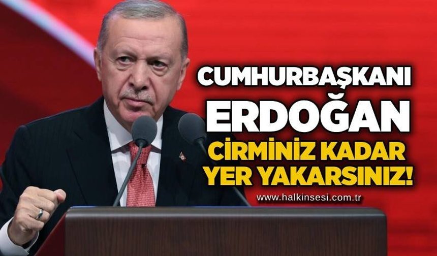 Cumhurbaşkanı Erdoğan: Cirminiz kadar yer yakarsınız!