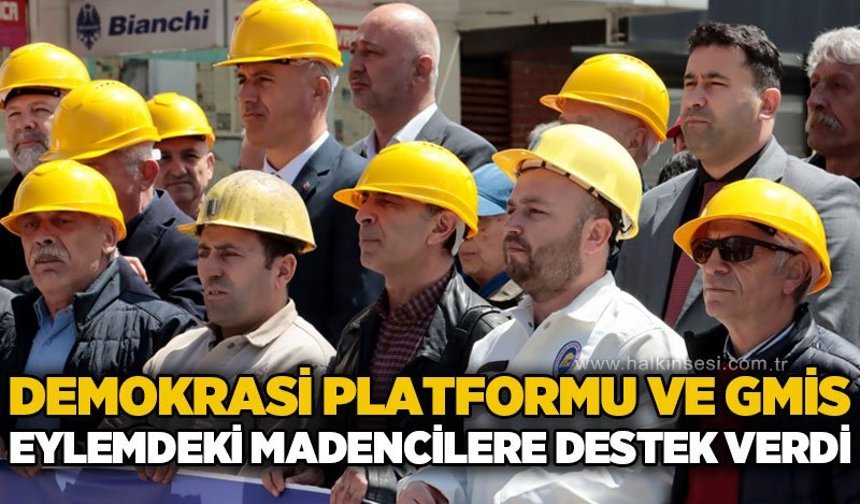 Demokrasi Platformu ve GMİS'ten eylemdeki madencilere destek
