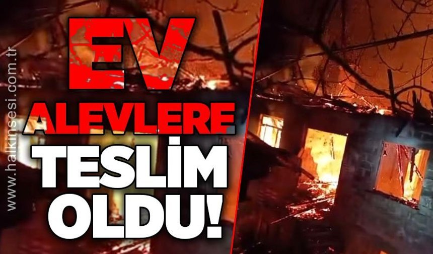Ev alevlere teslim oldu!