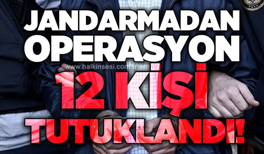 Jandarmadan operasyon: 12 tutuklama