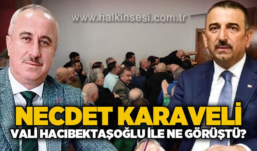 Necdet Karaveli ile Vali Osman Hacıbektaşoğlu ne görüştü?