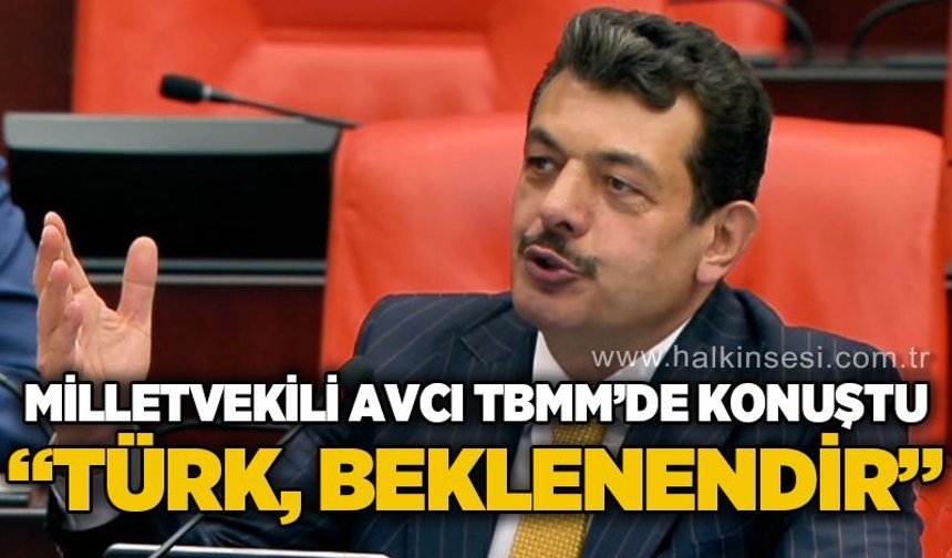 Milletvekili Avcı, TBMM Genel Kurulu'nda konuştu: “Türk Beklenendir“