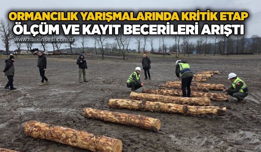 Ormancılık yarışmalarında kritik etap: Ölçüm ve kayıt becerileri yarıştı