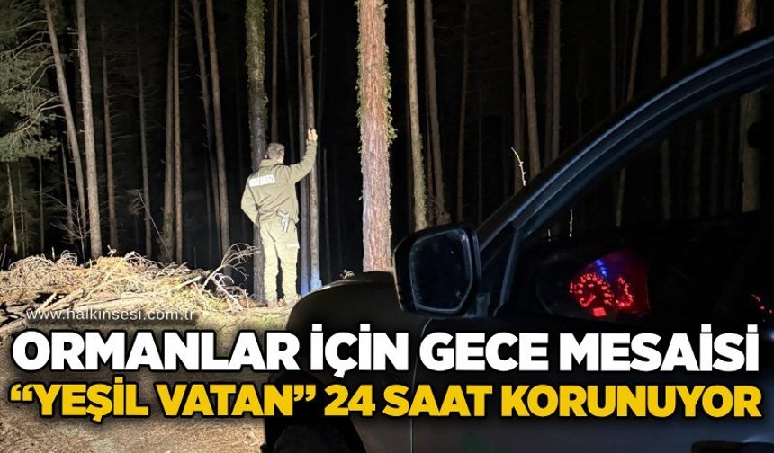 Ormanlar için gece mesaisi: “Yeşil Vatan” 24 saat korunuyor