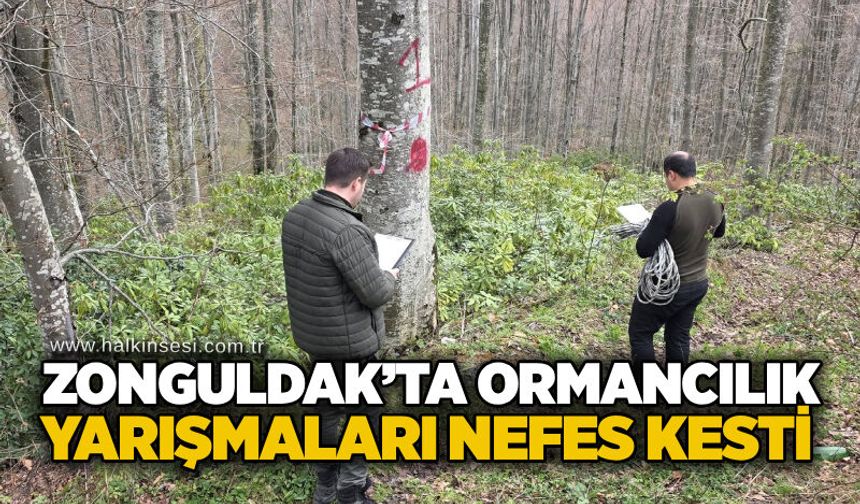 Zonguldak’ta ormancılık yarışmaları nefes kesti
