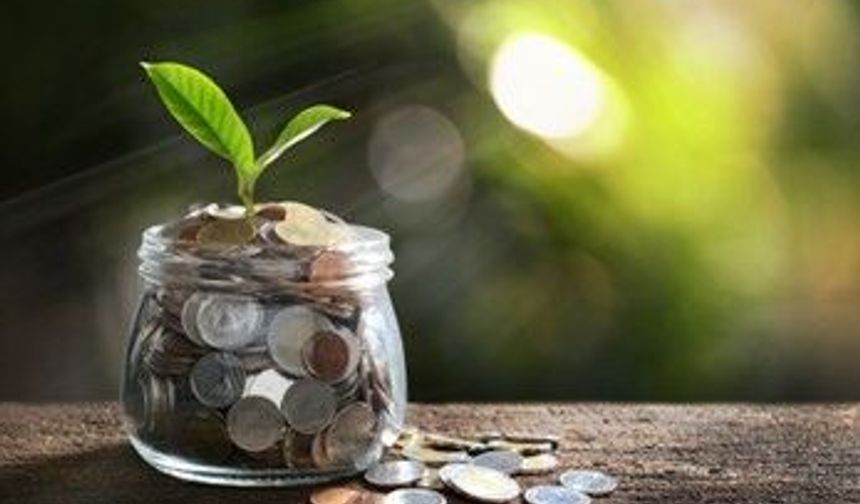 Tasarruf Finansmanı Nedir? Nasıl Hesaplanır? En İyi Şirketler