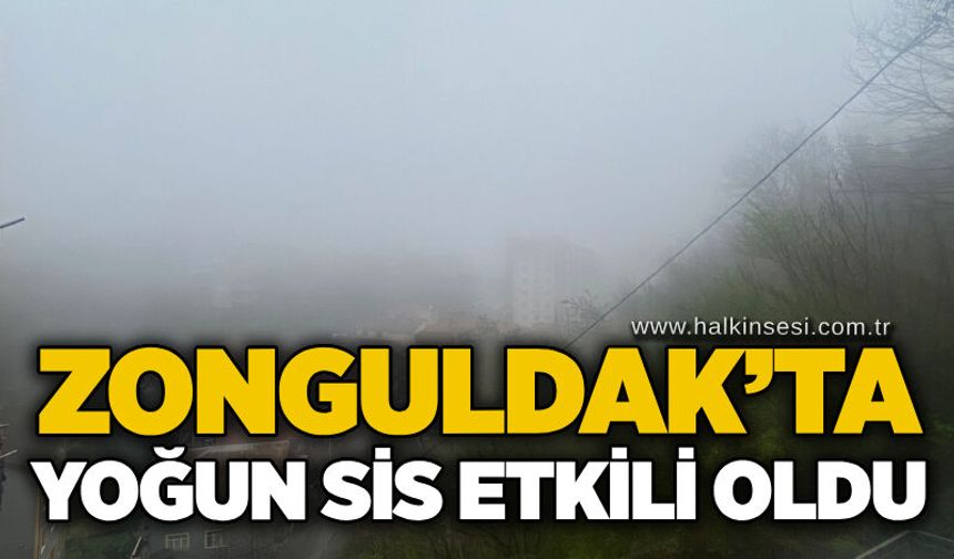 Zonguldak’ta yoğun sis etkili oldu