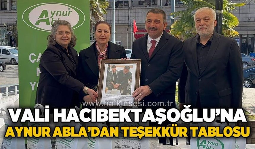 Vali Osman Hacıbektaşoğlu'na Aynur Abla'dan teşekkür tablosu