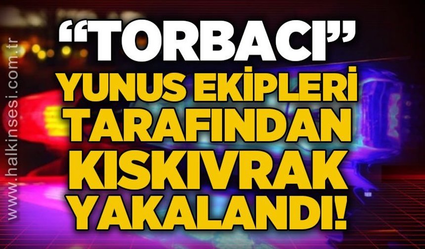 Zonguldak’ta nefes kesen operasyon: Ormanlık alana kaçtı, Yunus ekiplerinden kaçamadı