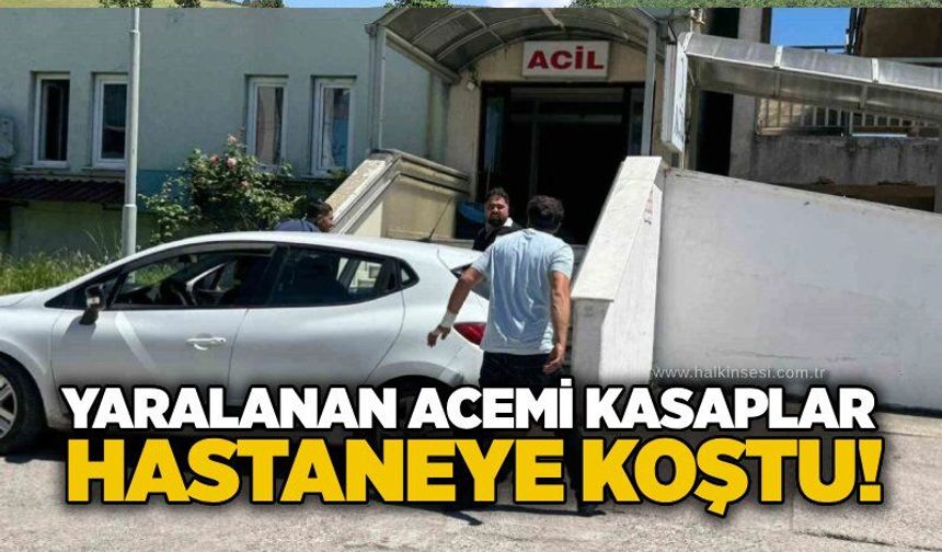 Yaralanan acemi kasaplar hastaneye koştu!