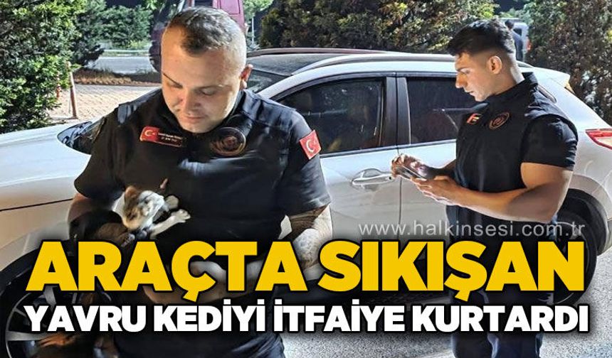 Araçta sıkışan yavru kediyi itfaiye kurtardı