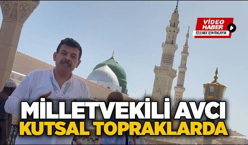 Milletvekili Avcı, kutsal topraklarda