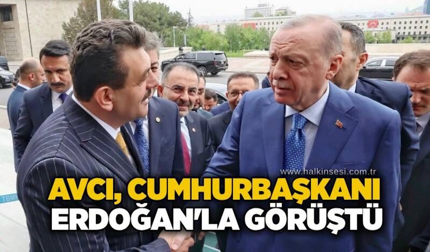 Avcı, Cumhurbaşkanı Erdoğan'la görüştü