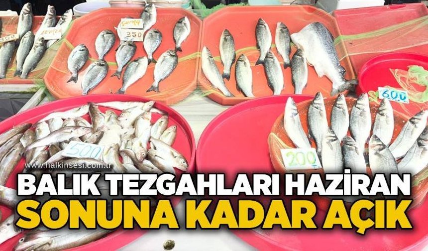 Balık tezgahları haziran sonuna kadar açık