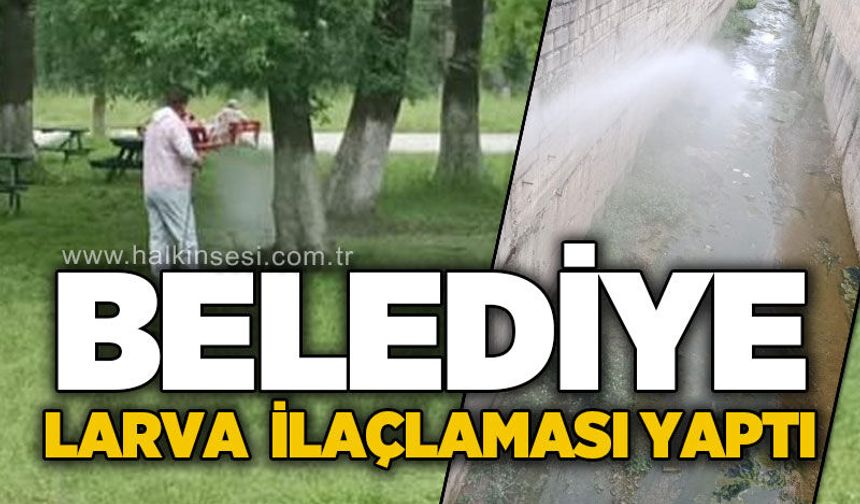 Belediye larva ilaçlaması yaptı
