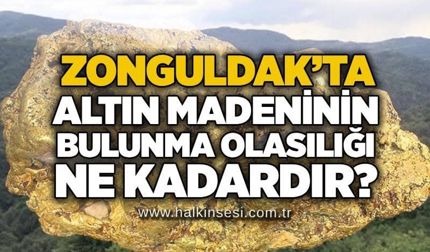 Zonguldak’ta altın madeninin bulunma olasılığı ne kadardır?