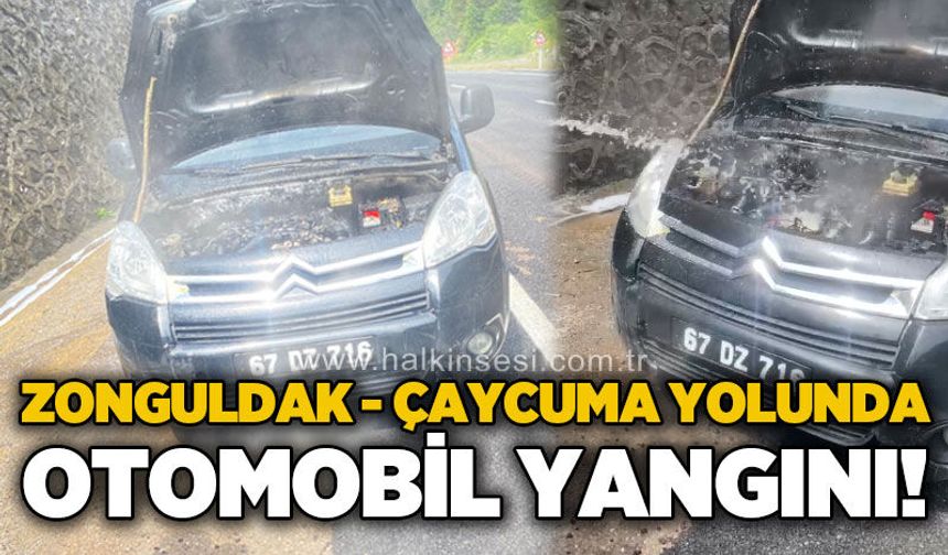 Zonguldak - Çaycuma yolunda otomobil yangını: İtfaiye ekipleri müdahale etti