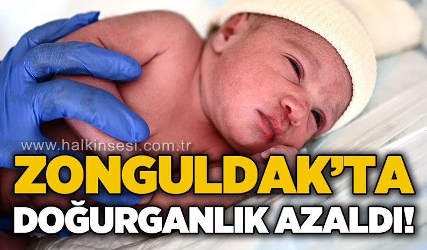 Türkiye’de doğurganlık hızı 1,42’ye geriledi: Zonguldak en düşük iller arasında
