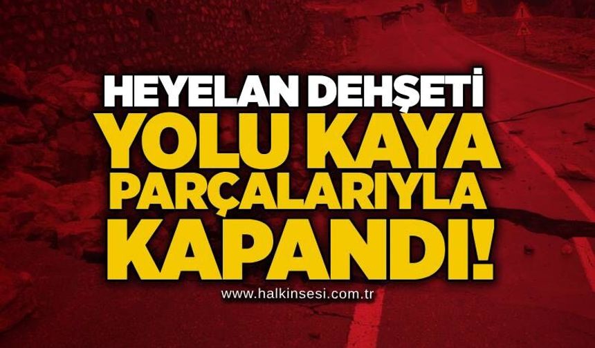 Heyelan dehşeti: Yolu kaya parçalarıyla kapandı!