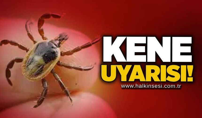 Kene uyarısı!