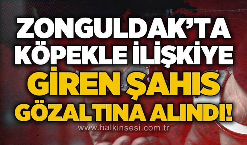 Zonguldak'ta köpekle ilişkiye girdiği iddia edilen şahıs gözaltına alındı!