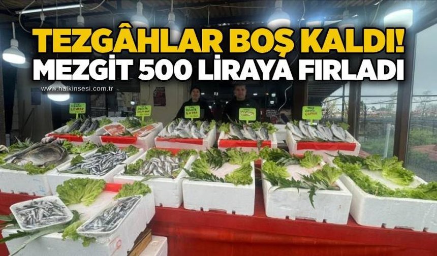 Tezgâhlar boş kaldı! Mezgit 500 liraya fırladı