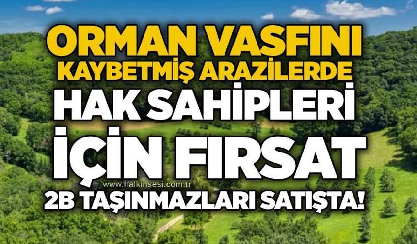 Orman vasfını kaybetmiş arazilerde hak sahipleri için fırsat: 2B taşınmazları satışta!