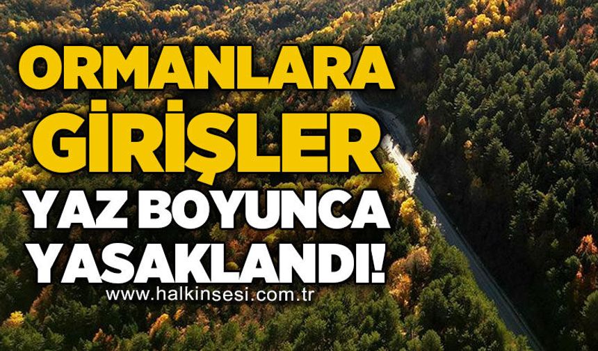 Ormanlara girişler  yaz boyunca yasaklandı!