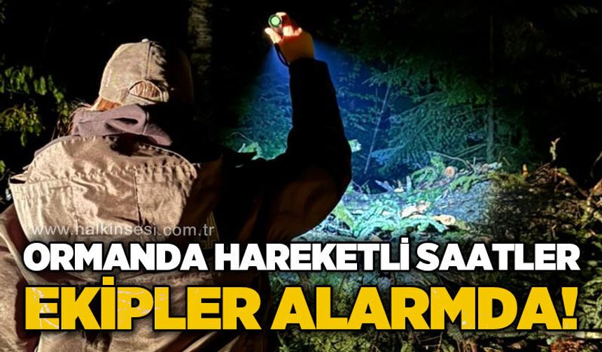 Ormanda hareketli saatler: Ekipler alarmda!
