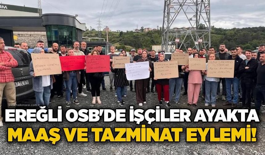 Ereğli OSB'de işçiler ayakta: Obal Alüminyum önünde maaş ve tazminat eylemi!