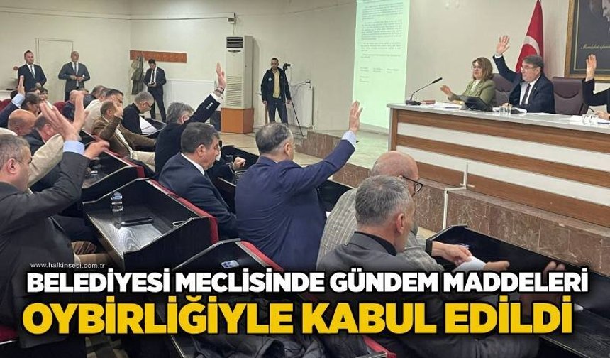 Belediye Meclisi’nde gündem maddeleri oybirliğiyle kabul edildi