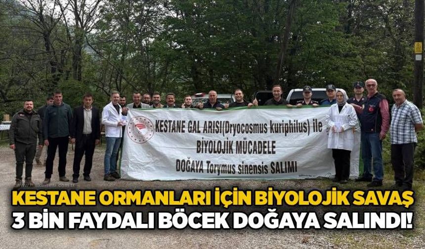 Kestane ormanları için biyolojik savaş: 3 bin faydalı böcek doğaya salındı!