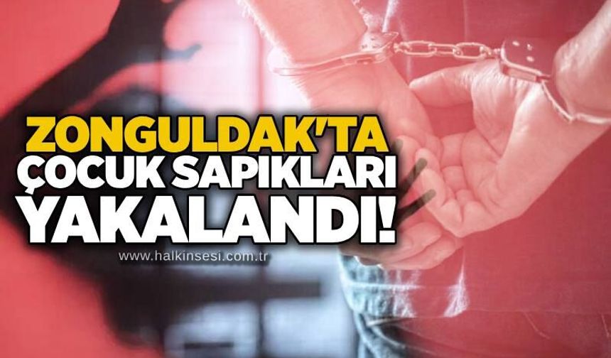 Zonguldak'ta çocuk sapıkları yakalandı!