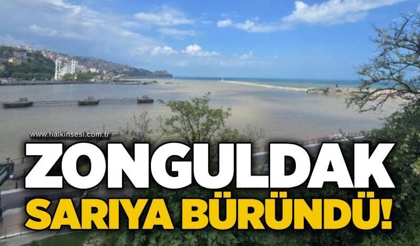 Zonguldak sarıya büründü!