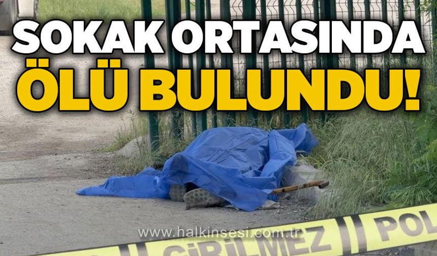 Salim Ömeroğlu Soğuksu'da ölü halde bulundu