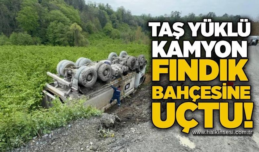 Taş yüklü kamyon fındık bahçesine uçtu!