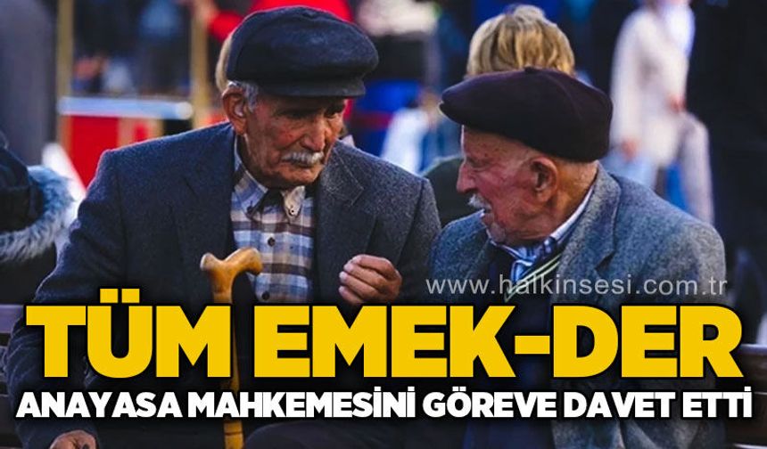 Tüm Emek-Der'den anayasa mahkemesine çağrı!