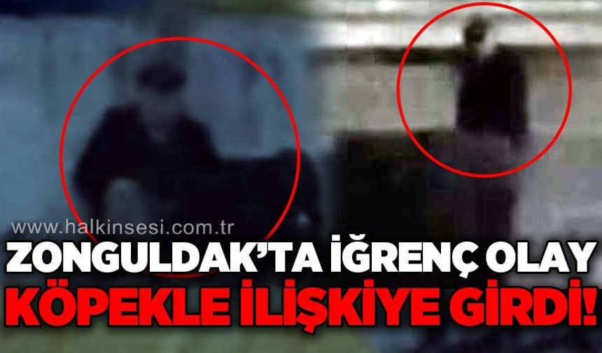 Zonguldak'ta sokak köpeğine c*nsel istismar iddiası: Hayvanseverler şikayetçi olacak!