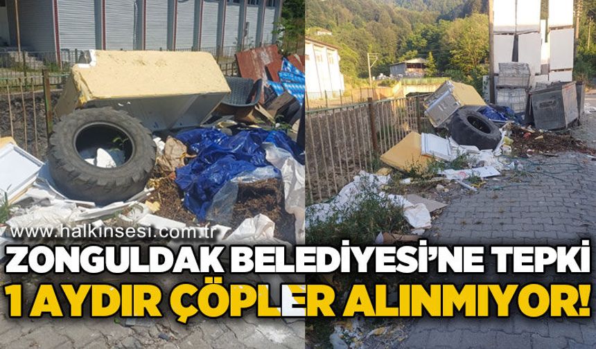 Zonguldak Belediyesi'ne tepki: 1 aydır çöpler alınmıyor!