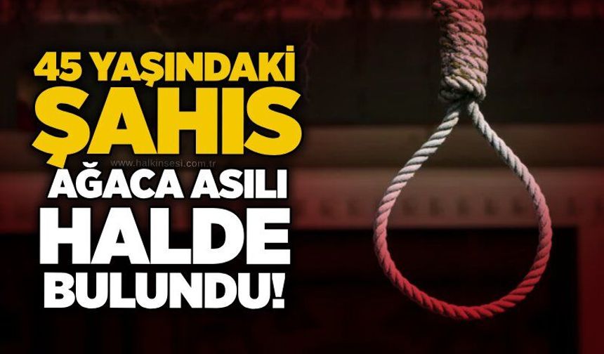 45 yaşındaki şahıs ağaca asılı halde bulundu!