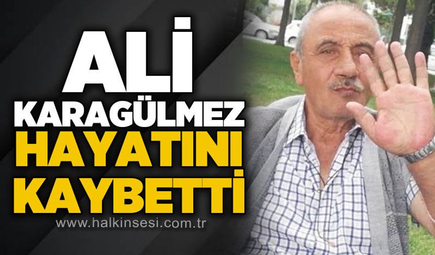 Ali Karagülmez hayatını kaybetti
