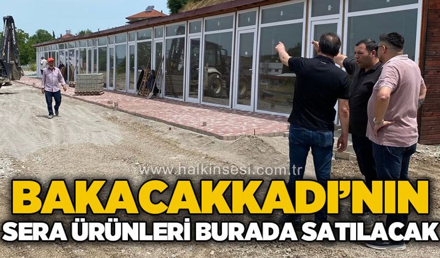 Bakacakkadı'nın sera ürünleri burada satılacak