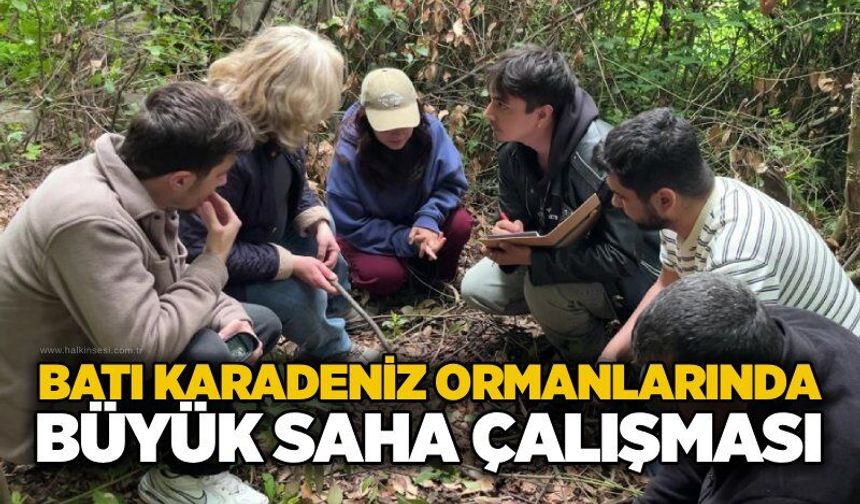 Batı Karadeniz ormanlarında büyük saha çalışması